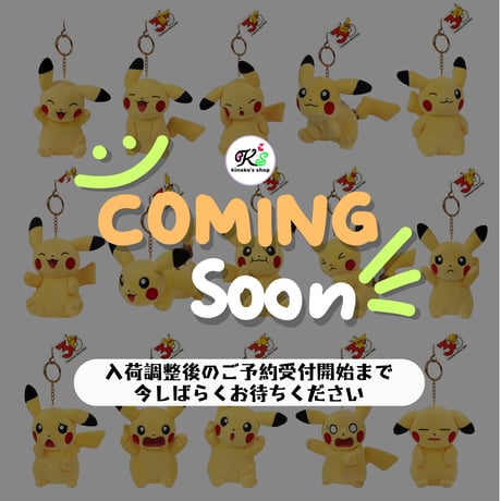 海外ポケモングッズ 中国限定 30周年記念シリーズ ピカチュウ ぬいぐるみ 【1～15】