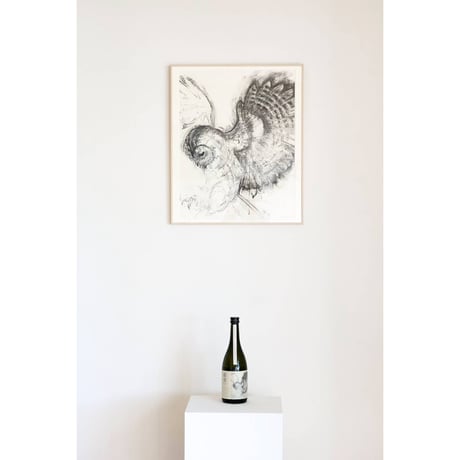 生酛仕込 ミネルヴァの梟(ふくろう)（純米酒）1.8L