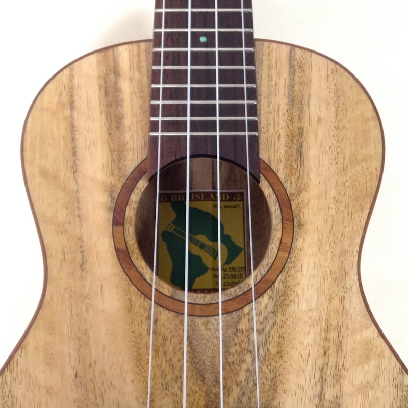 BIG ISLAND（ビッグアイランド） U-MO-CTS #230464 コンサートウクレレ