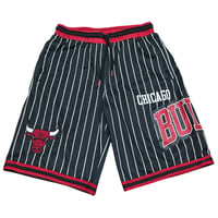 NBA Chicago Bulls バスケットボール ショーツ