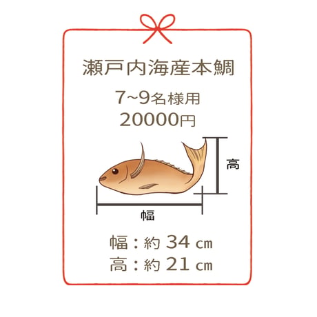瀬戸内海産養殖鯛　　　7～9名様用　３尾