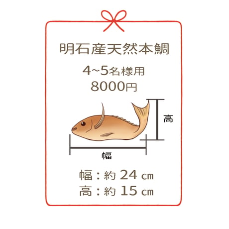 明石産天然鯛　　　4～5名様用　４尾