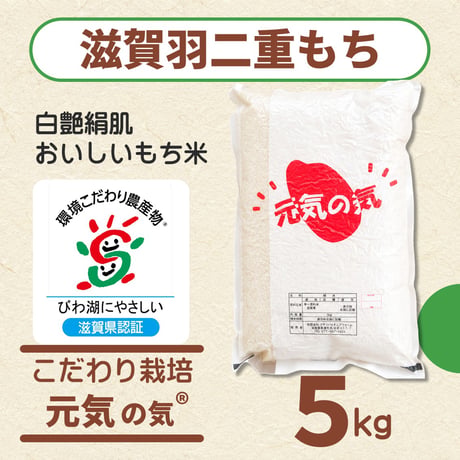お米5kg 滋賀羽二重もち（もち米）環境こだわり栽培米 | クサツ