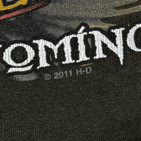 HARLEY DAVIDSON 2013 MONOCHROME FLAME LS FITS XXL 0247