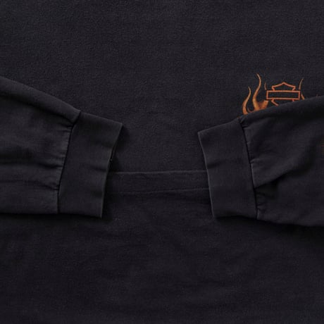 HARLEY DAVIDSON 2002 MILE HIGH DENVER COLORADO FLAME LS FITS XXL 0251