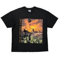 EAGLES HELL FREEZES OVER WORLD TOUR 1996 HANES XL 2333