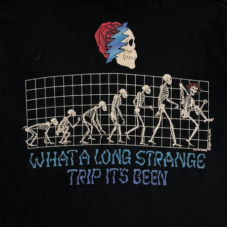 GRATEFUL DEAD EVOLUTION What a Long Strange Trip It's Been LIQUID BLUE LARGE 5655