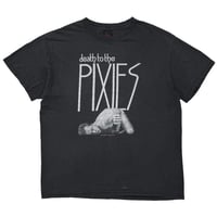 PIXIES 2004 DEATH TO THE PIXIES CINDER BLOCK FITS LARGE 7797