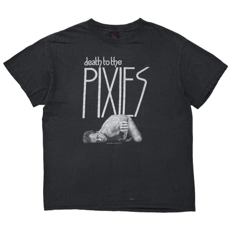 PIXIES 2004 DEATH TO THE PIXIES CINDER BLOCK FITS LARGE 7797