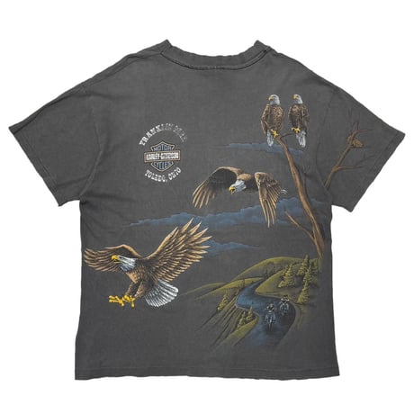 HARLEY DAVIDSON 	SOARING HIGH OHIO OVP LARGE 0919