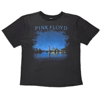 PINK FLOYD WISH YOU WERE HERE ROBOT HAND EURO FITS XL 1159