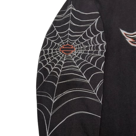 HARLEY DAVIDSON SPIDER FT WALTON BEACH FLORIDA LS XL 3058