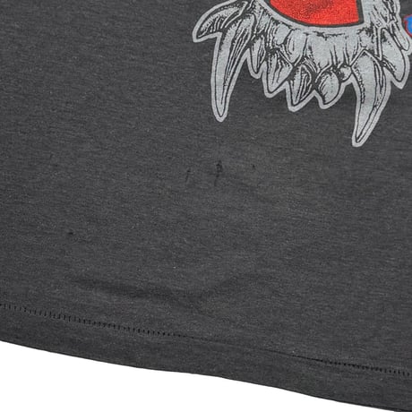 CORROSION OF CONFORMITY WHEN NOTHING REMAINS? FITS XL 4789