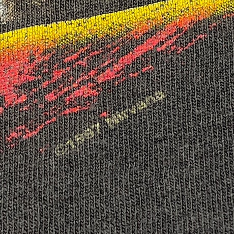 NIRVANA FROM THE MUDDY BANKS STEDMAN BY HANES XL 9961