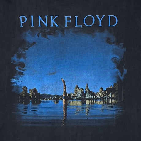 PINK FLOYD WISH YOU WERE HERE SLEEVELESS FITS XL 6889