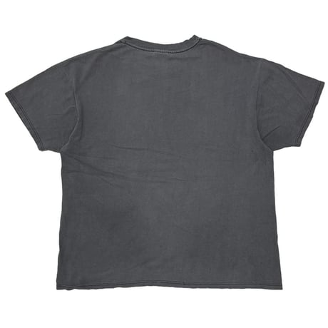 NIRVANA FROM THE MUDDY BANKS STEDMAN BY HANES XL 9961