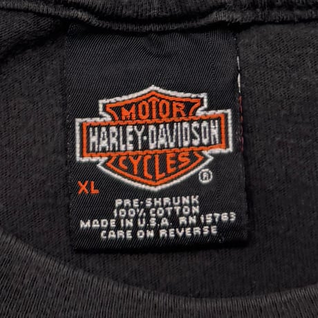 HARLEY DAVIDSON	ORANGE V FLAME STEEL XL 2285