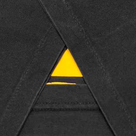 WU-TANG CLAN AIN'T NUTTIN TO FUCK WIT! PYRAMID XL 7696