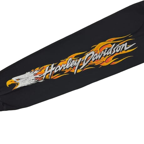 HARLEY DAVIDSON ESTABLISHED 1903 FLAMING EAGLE LS HANES XL 7626