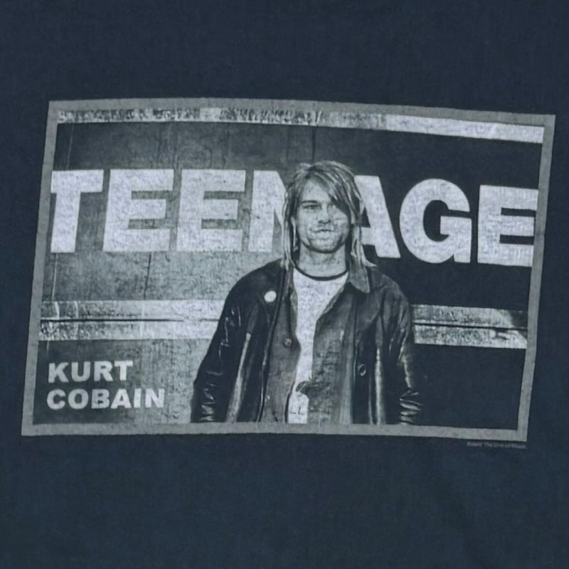 NIRVANA KURT COBAIN TEENAGE THE END OF MUSIC AN