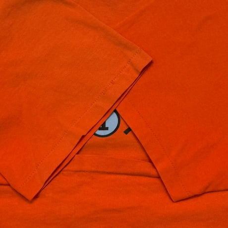 ALICE IN CHAINS THE OTHER WHITE MEAT ORANGE HANES LARGE 2830