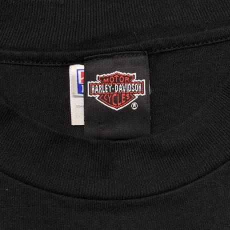 HARLEY DAVIDSON FLAMING EAGLE BLUE EMBLEM LS HANES LARGE 3084