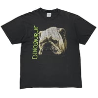 DINOSAUR Jr Whatever's Cool with Me DOG NICEMAN XL 2568