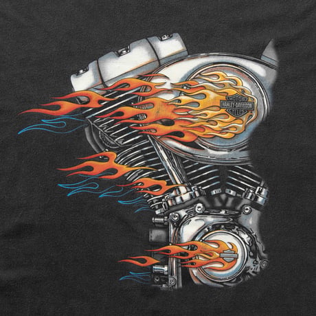 HARLEY DAVIDSON 2001 FLAMING ENGINE SAN DIEGO XXL 1641