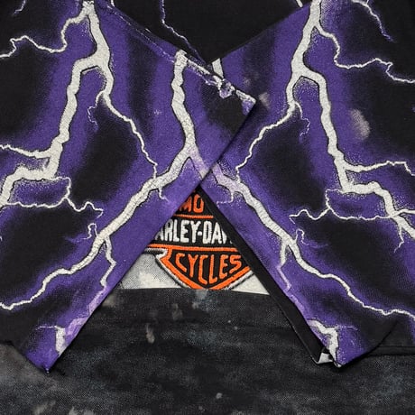 HARLEY DAVIDSON THUNDER & LIGHTNING OVP LARGE 4367