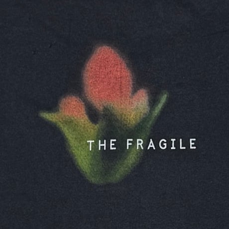 NINE INCH NAILS FRAGILE ALL SPORT LARGE 2099