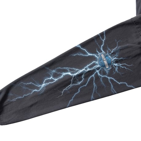 HARLEY DAVIDSON	2001 BLUE THUNDER ARM PRINT LS FITS XL 1866