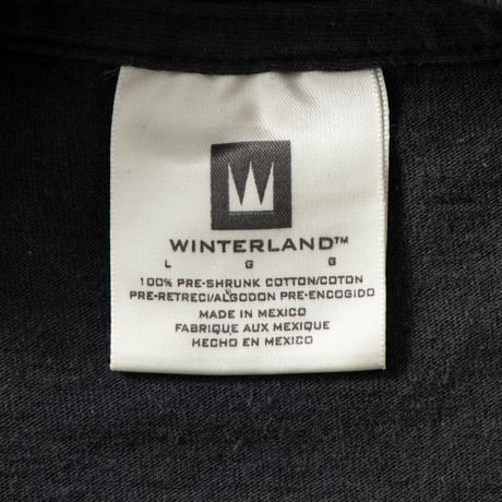 THE BLAIR WITCH PROJECT MOVIE PROMO WINTERLAND LARGE 1405