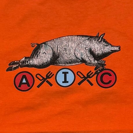ALICE IN CHAINS THE OTHER WHITE MEAT ORANGE HANES LARGE 2830
