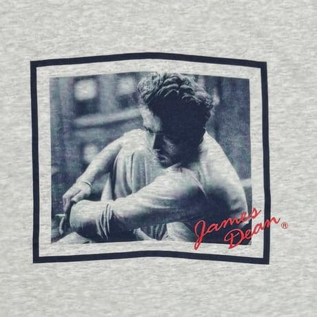 JAMES DEAN PORTRAIT ASH GREY FRUIT OF THE LOOM LARGE 7704