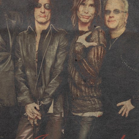 AEROSMITH 2001 JUST PUSH PLAY DARK SORAYAMA FITS LARGE 9980