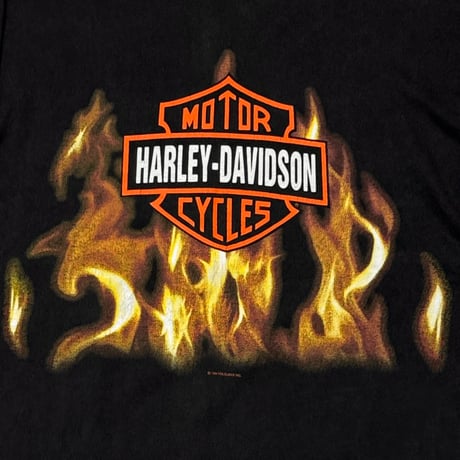 HARLEY DAVIDSON	FLAMING LOGO ARM TEXT LS 1994 LARGE 1172