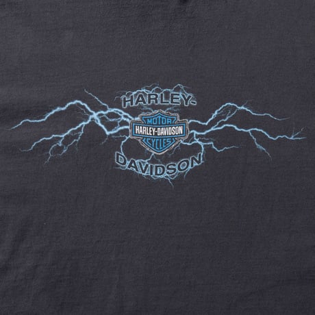 HARLEY DAVIDSON	2001 BLUE THUNDER ARM PRINT LS FITS XL 1866