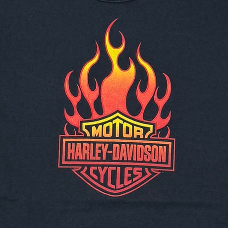 HARLEY DAVIDSON EMBLEM ON FIRE SLEEVE FLAME ALABAMA LS XL 0788