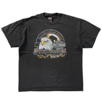 HARLEY DAVIDSON 2006 BLACK HILLS RALLY STURGIS THE ONE AND ONLY XL 9359