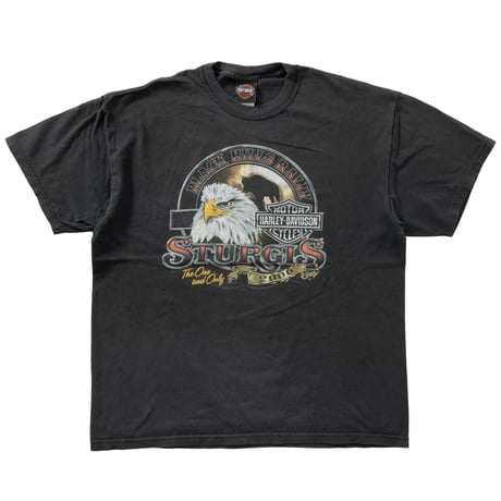 HARLEY DAVIDSON 2006 BLACK HILLS RALLY STURGIS THE ONE AND ONLY XL 9359