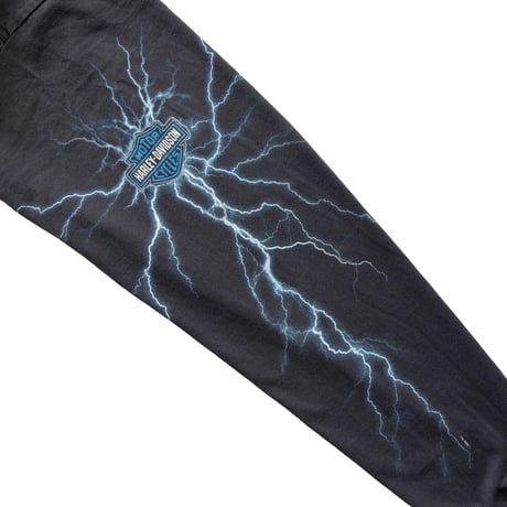HARLEY DAVIDSON	2001 BLUE THUNDER ARM PRINT LS FITS XL 1866