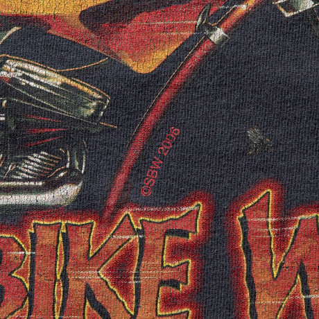 STURGIS BIKE WEEK 2006 RED FLAME LS DELTA XL 9320
