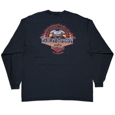 HARLEY DAVIDSON EMBLEM ON FIRE SLEEVE FLAME ALABAMA LS XL 0788