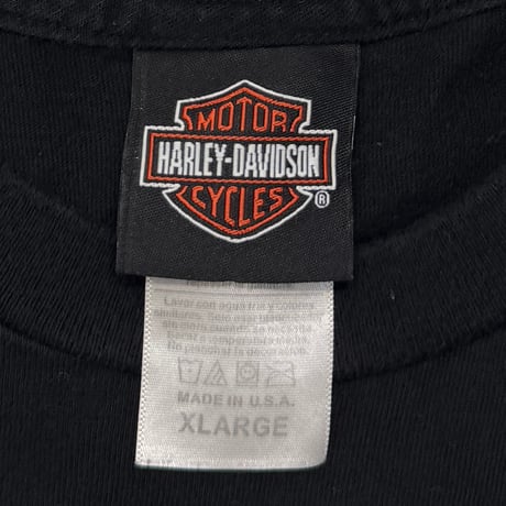 HARLEY DAVIDSON	2015 FLAME SKULL RIDER FOR LIFE XL 5027