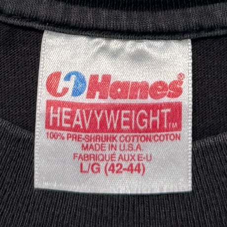 Apple COLOR TEXT LOGO HANES LARGE 9215