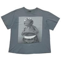 KERMIT Calvin Klein PARODY SLATE CHANGES XL 0878
