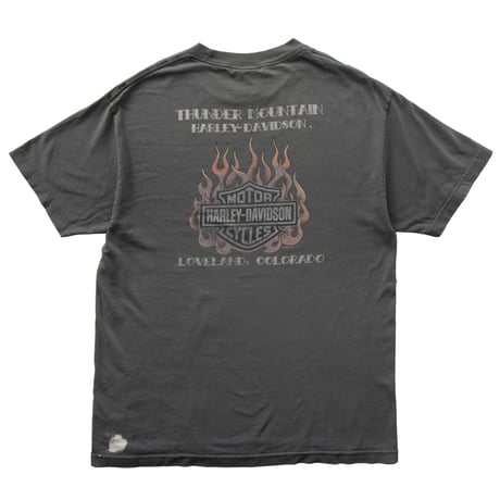 HARLEY DAVIDSON 2007 BACK FLAME THUNDER MOUNTAIN KHAKI LARGE 1000