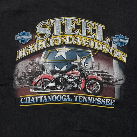 HARLEY DAVIDSON	ORANGE V FLAME STEEL XL 2285