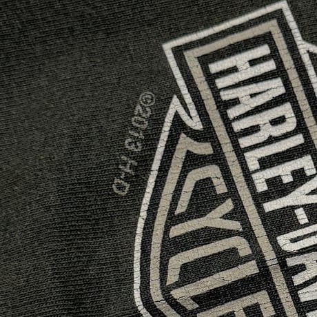 HARLEY DAVIDSON 2013 MONOCHROME FLAME LS FITS XXL 0247