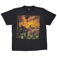EAGLES HELL FREEZES OVER 1995 GIANT BY TULTEX XL 8139